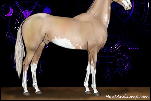 Horse Color:Silver Black Pearl Sabino 