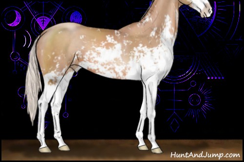Horse Color:Silver Black Pearl Sabino 