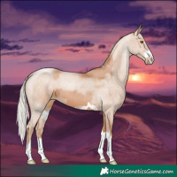 Horse Color:Silver Black Pearl 