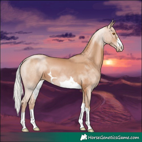 Horse Color:Silver Black Pearl 