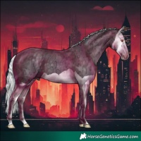 Horse Color:Silver Black Chinchilla Ice Splash