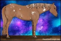 Horse Color:White Spotted Red Roan 