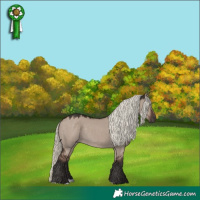 Horse Color:Liver Red Dun Mushroom Rabicano 