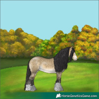 Horse Color:Buckskin Dun Mushroom 