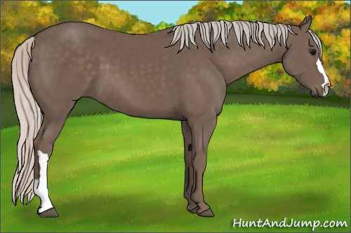 Horse Color:Silver Black 