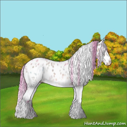 Horse Color:Watercolor White Spotted Bay Appaloosa 