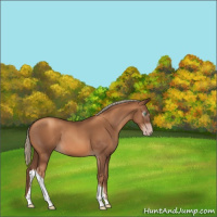 Horse Color:Gray Gold Champagne Mushroom 