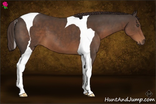Horse Color:Liver Chestnut Tobiano 