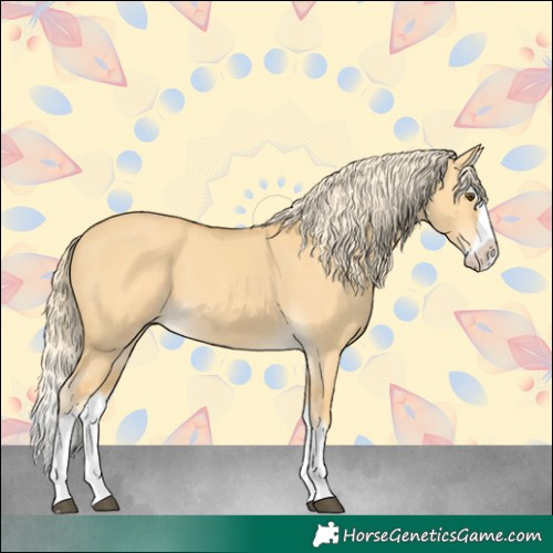 Horse Color:Palomino Dun Splash 