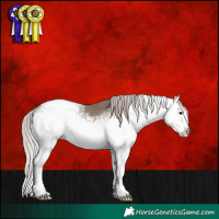 Horse Color:White Spotted Silver Grullo Splash 