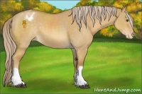 Horse Color:Palomino Dun Varnish 