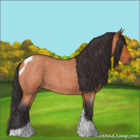 Horse Color:Bay Roan Tobiano
