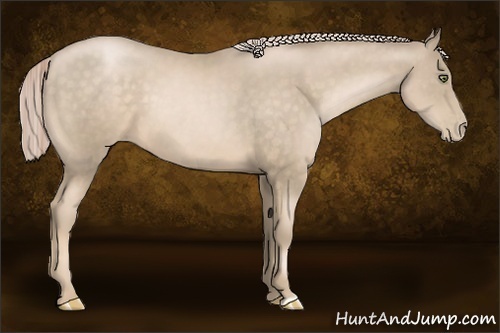 Horse Color:Chocolate Palomino Pearl 