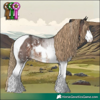 Horse Color:Liver Chestnut Sabino Tobiano 