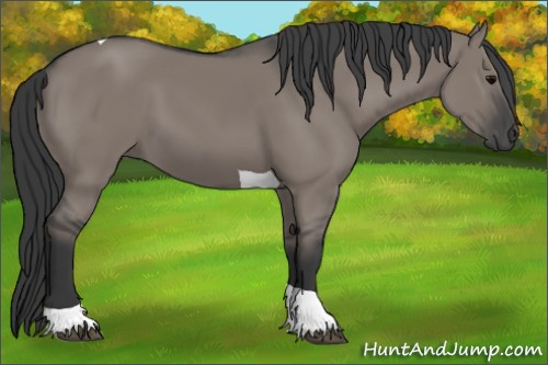 Horse Color:Grullo Tobiano 