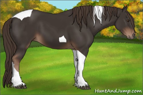 Horse Color:Liver Chestnut Tobiano 