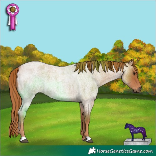 Horse Color:Red Roan 