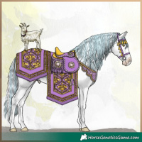 Horse Color:Painted Gold Champagne Sabino Appaloosa 