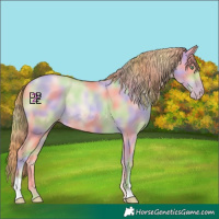 Horse Color:Nacre Gold Champagne Dun 
