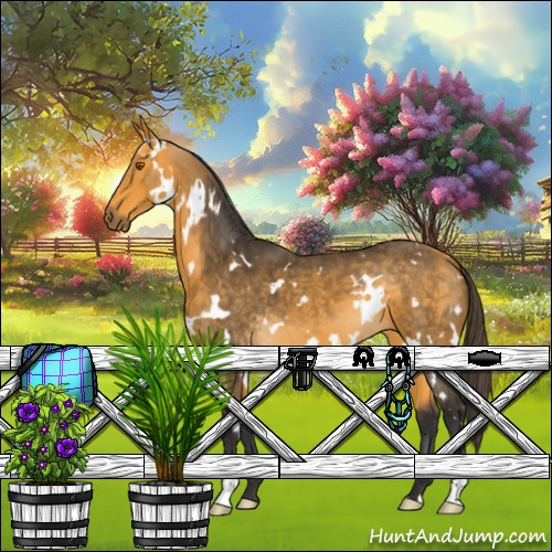 Horse Color:White Spotted Buckskin