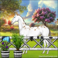 Horse Color:White Spotted Buckskin Splash Near Leopard 