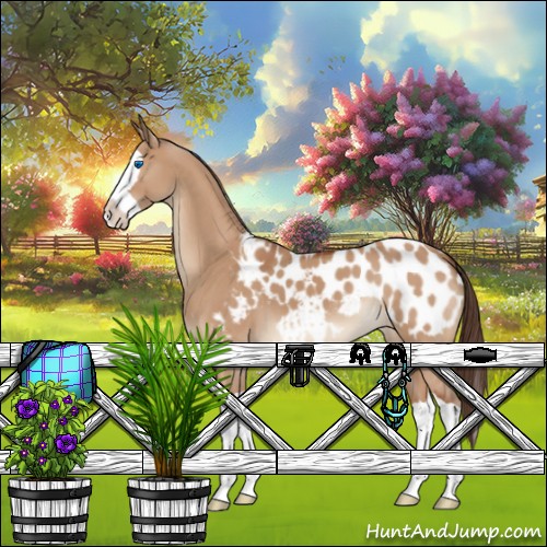 Horse Color:Bay Dun Splash Appaloosa 