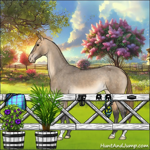 Horse Color:Buckskin Dun Appaloosa 