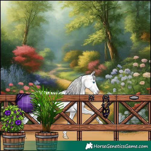 Horse Color:White Spotted Silver Buckskin Pearl Splash Appaloosa 