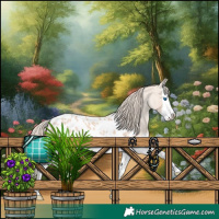 Horse Color:Perlino Splash Appaloosa 