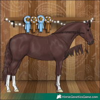 Horse Color:Chocolate Black
