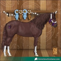 Horse Color:Chocolate Black 