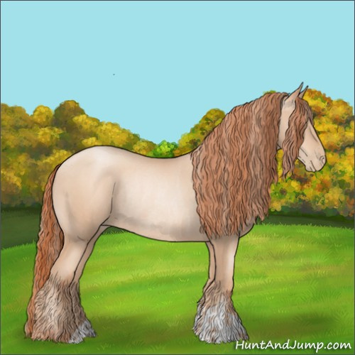 Horse Color:Gold Champagne Pearl Rabicano and Sable Champagne Pearl Rabicano
