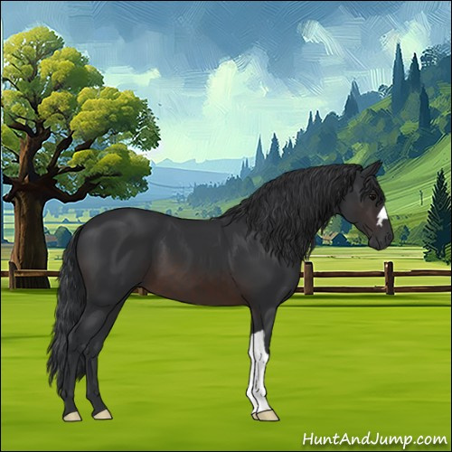 Horse Color:Brown 