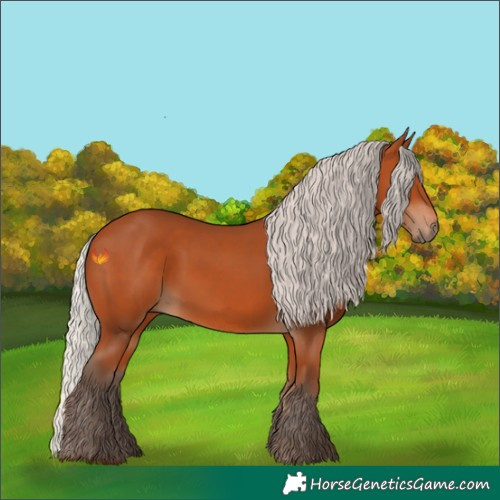 Horse Color:Silver Bay 