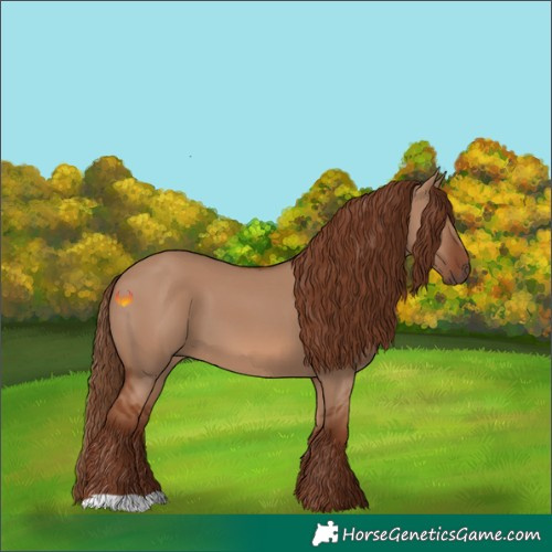 Horse Color:Red Dun 
