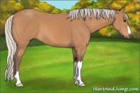 Horse Color:Silver Bay 