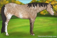 Horse Color:White Spotted Sable Champagne Ice 