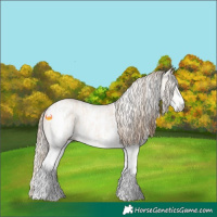 Horse Color:Perlino Sabino  and Gray Perlino Sabino 