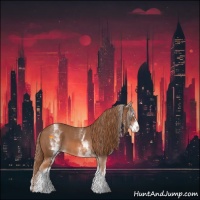 Horse Color:White Spotted Chestnut Sabino 