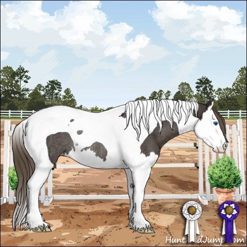 Horse Color:Smoky Black Splash Tobiano Appaloosa Rabicano 