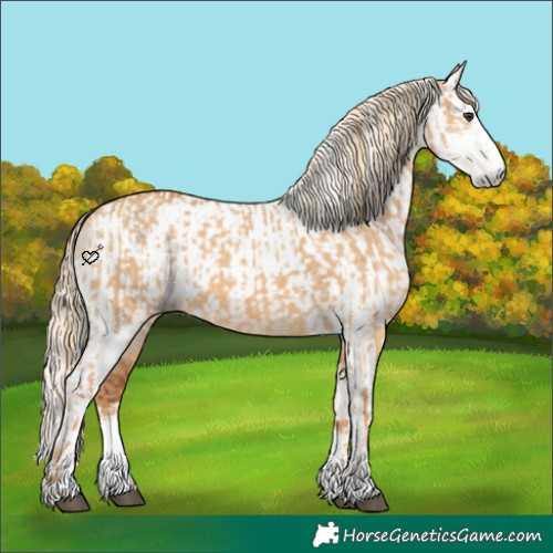 Horse Color:Red Dun Sabino Rabicano  and Gray Red Dun Tobiano Rabicano 