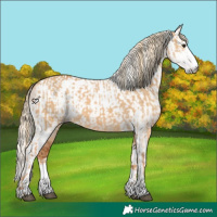 Horse Color:Red Dun Sabino Rabicano  and Gray Red Dun Tobiano Rabicano 