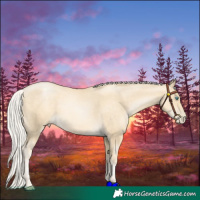 Horse Color:Silver Sable Cream Champagne Pearl 