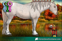 Horse Color:White Spotted Brown Dun Sabino Appaloosa  and Liver Chestnut Pearl Sabino Tobiano Appaloosa Rabicano 