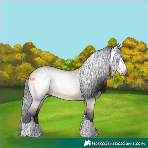 Horse Color:Gray Bay Dun