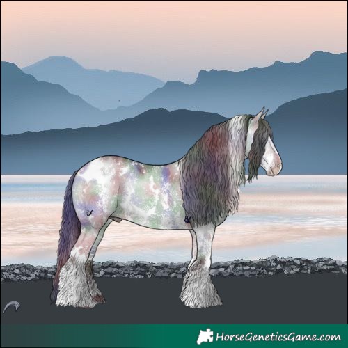 Horse Color:Nacre White Spotted Smoky Grullo Chinchilla Sabino 