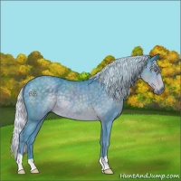 Horse Color:Watercolor Silver Black Chinchilla 