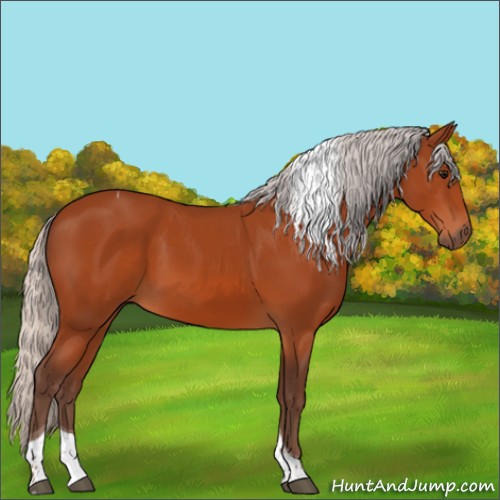 Horse Color:Silver Bay Tobiano 