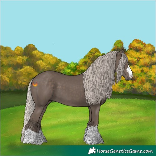 Horse Color:Silver Black 