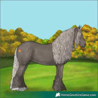 Horse Color:Silver Black 